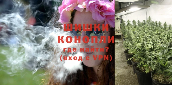 ГАЛЛЮЦИНОГЕННЫЕ ГРИБЫ Армянск