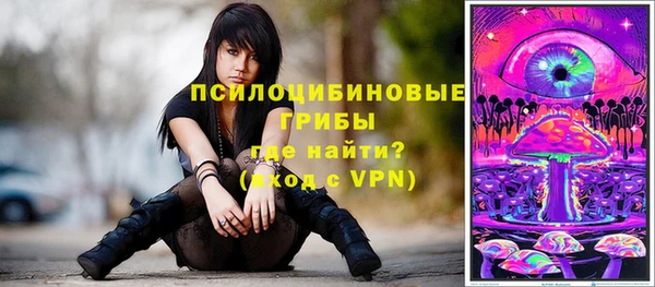 прущая мука Аркадак