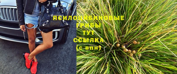 ГАЛЛЮЦИНОГЕННЫЕ ГРИБЫ Армянск