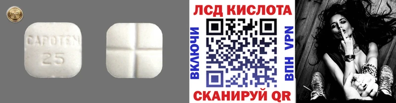 kraken tor  Пошехонье  LSD-25 экстази ecstasy 