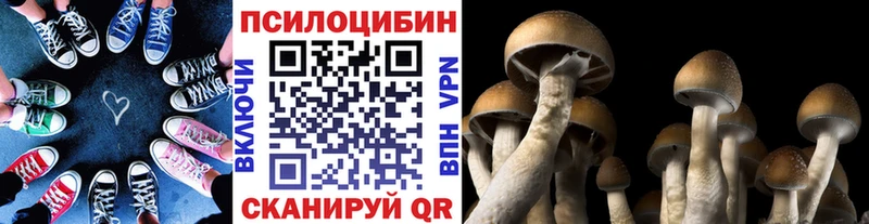магазин продажи   Пошехонье  OMG маркетплейс  Галлюциногенные грибы прущие грибы 