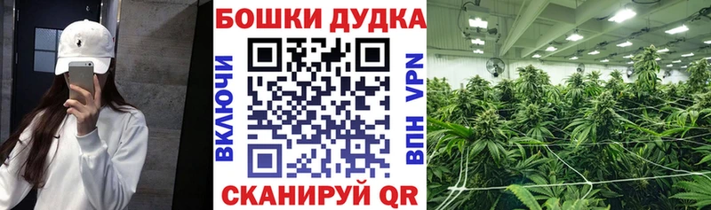 наркошоп блэк спрут как зайти Каннабис VHQ Пошехонье